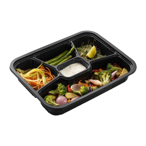 خرید ظرف یکبار مصرف پنج خانه کد 501